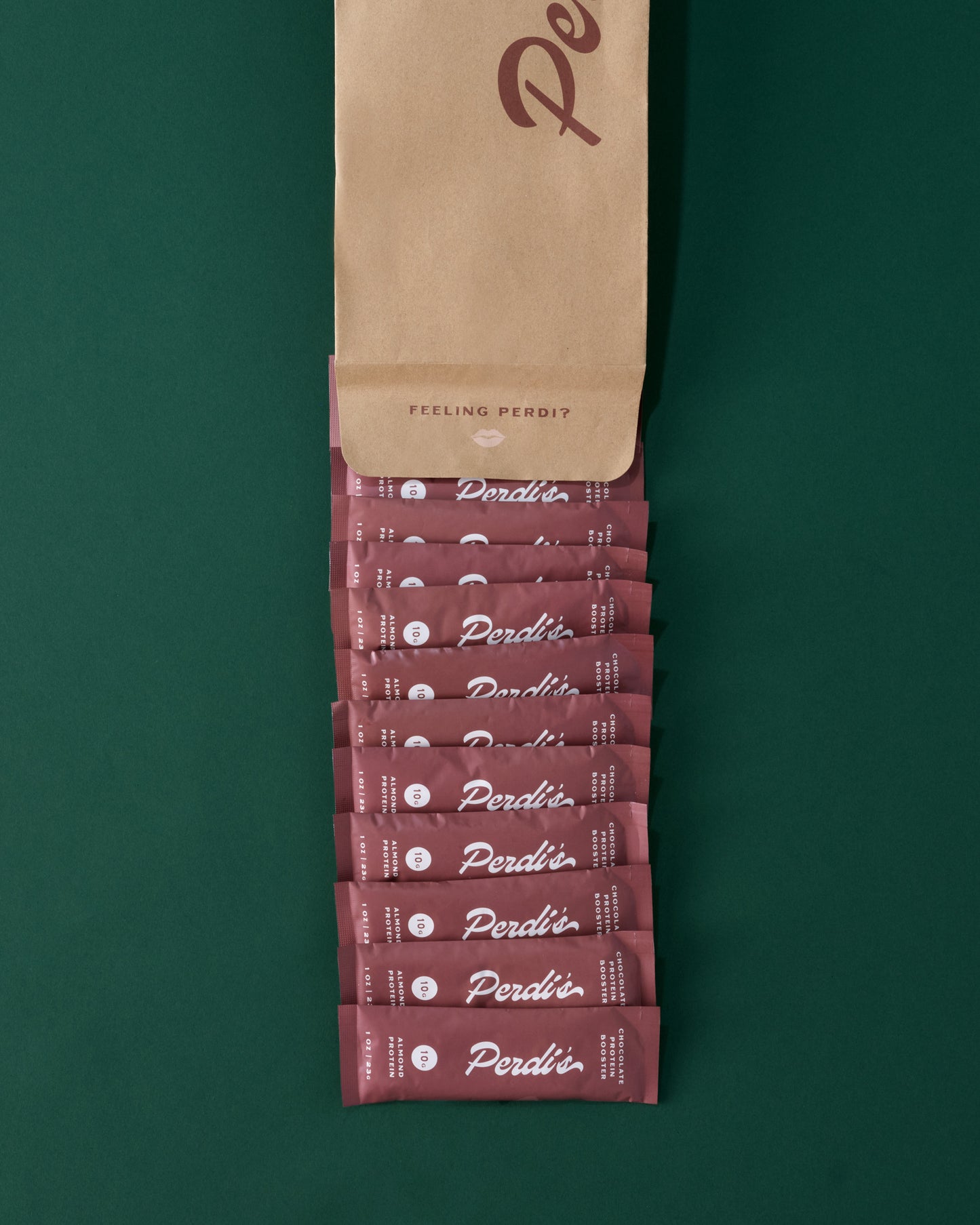 12-Pack Chocolate Protein