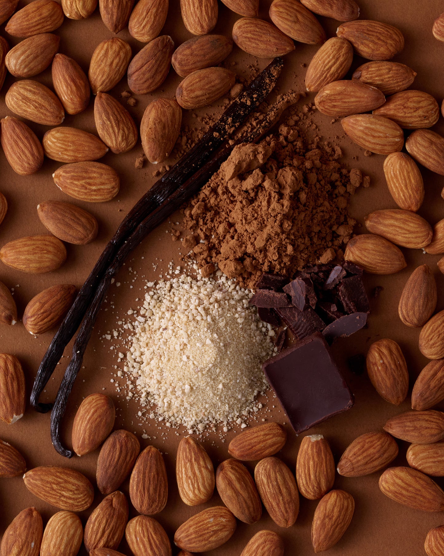 12-Pack Chocolate Protein