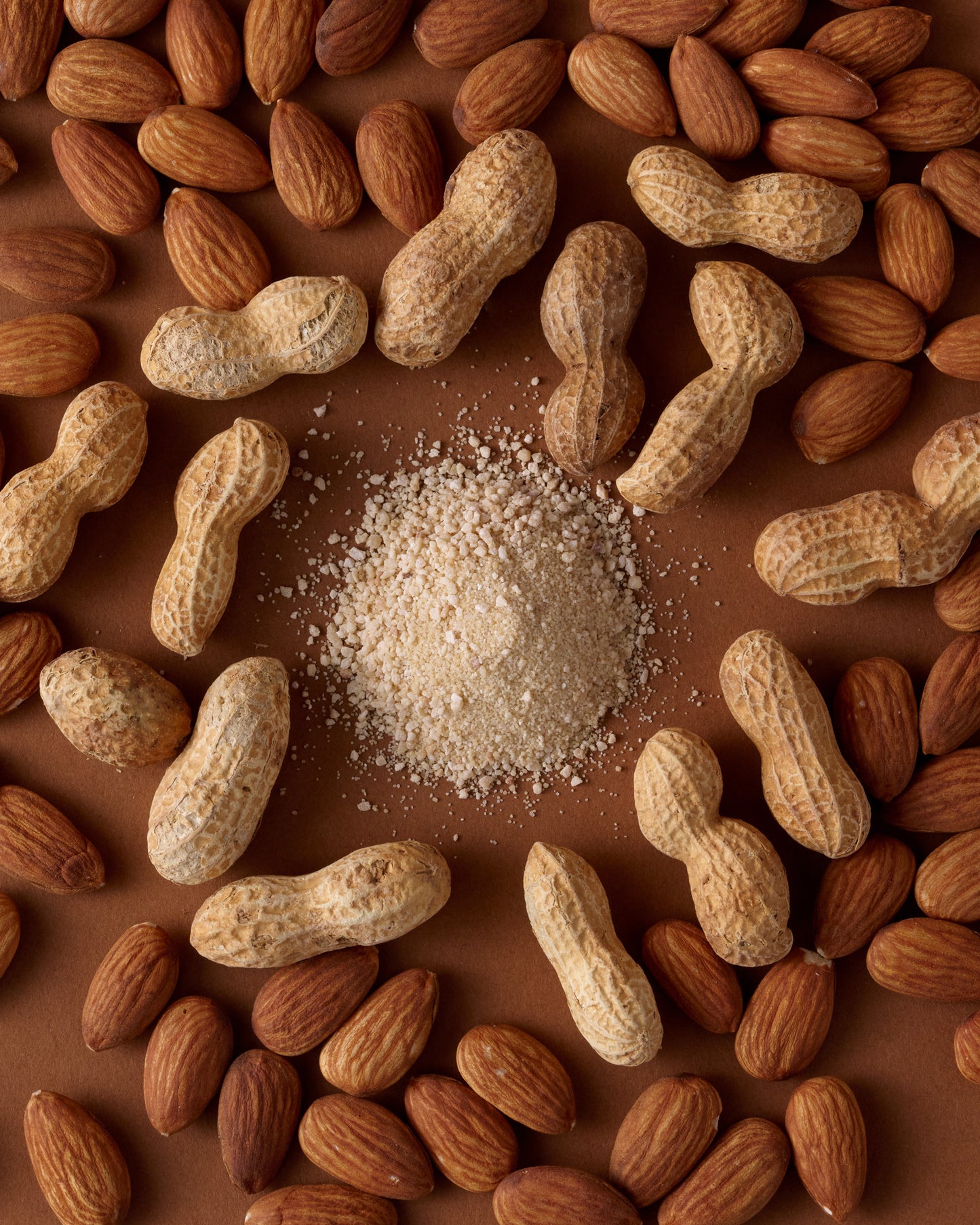 12-Pack Peanut Butter Protein