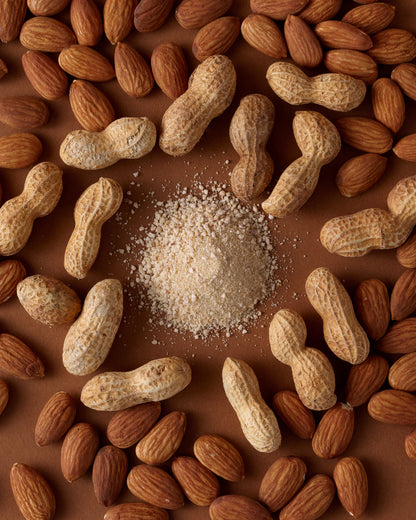 12-Pack Peanut Butter Protein