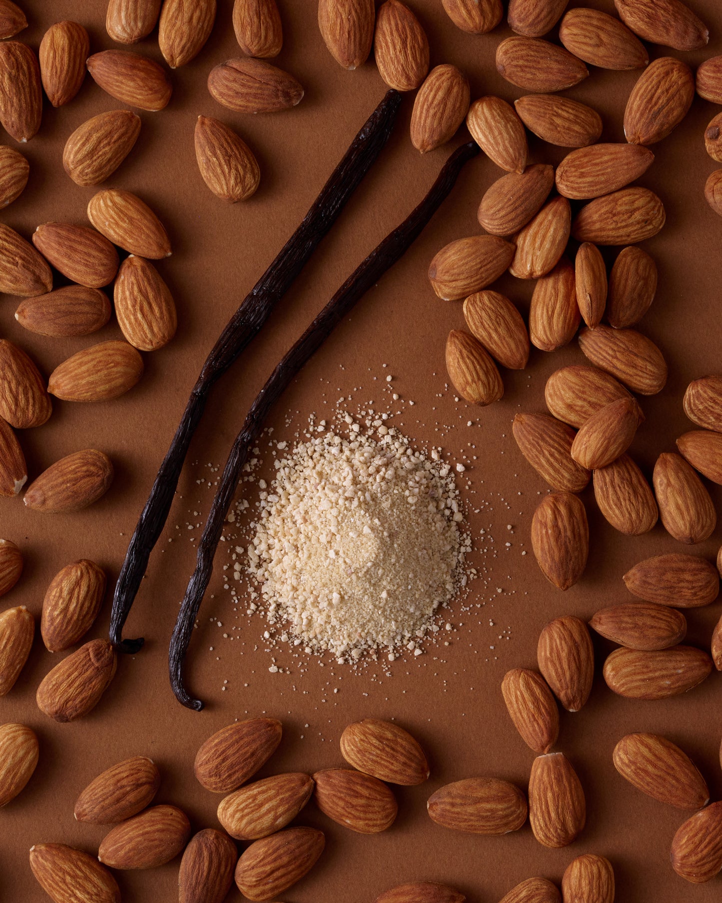 12-Pack Vanilla Protein