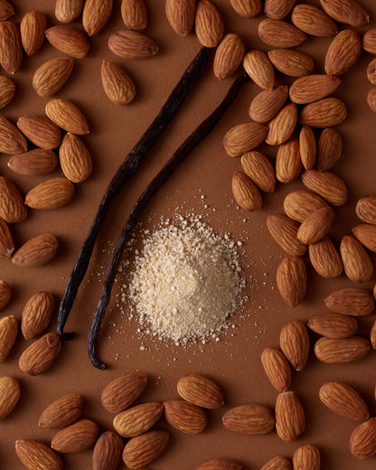 12-Pack Vanilla Protein